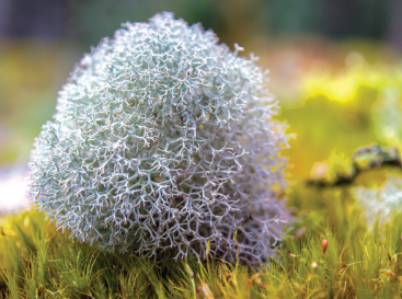 0402sp85-d0ba-367x273.png