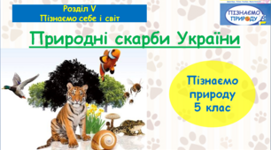 Презентація "Природні скарби України ". "Пізнаємо природу" 5 клас НУШ.
