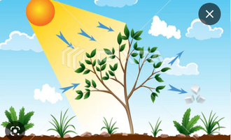 0402ssdu-8897-330x201.png