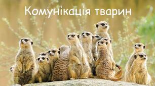  Комунікація тварин