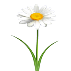 0402su93-e5b4-250x250.png
