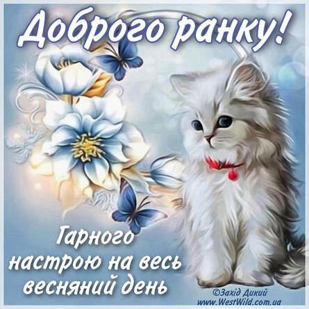 Доброго весняного ранку та гарного дня. Картинки - Фото - Привітання - Побажання - Листівки - West Wild | Захід Дикий
