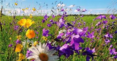 0402sw0z-c3d0-379x199.jpg