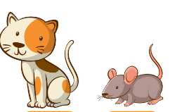 0402swu2-6c2c-242x159.png