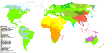 0402sxh9-7890-382x181.png