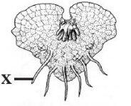 0402sxrv-5a87-184x149.jpg