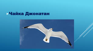 Алегоричні образи повісті "Чайка Джонатан Лівінгстон"