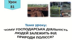 Чому господарська діяльність людей залежить від природи Полісся?