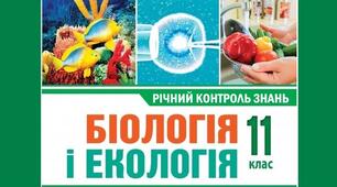 11 клас.  Річна контрольна робота