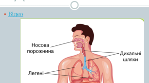 Для чого та як ми дихаємо? (Коршевнюк)