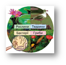0402t0ff-b7b6-215x213.png
