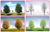 0402t0pf-b2f2-215x139.png