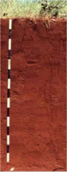 0402t0zq-5d2c-98x250.png