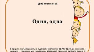 Дидактична гра "Один чи одна"