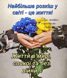 Пин содержит это изображение: