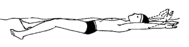 0402t56e-755e-372x93.png