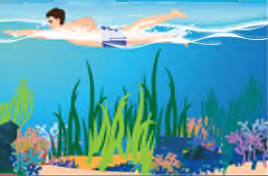 0402t56y-cfad-268x176.png