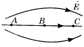0402t8uj-9842-357x203.png