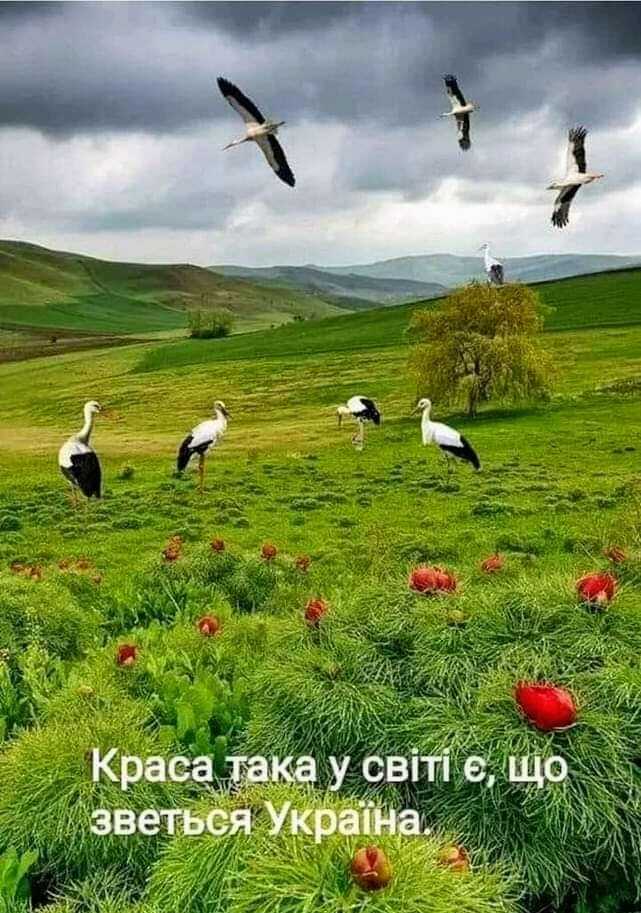 Возможно, это изображение текст