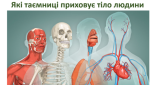 Які таємниці приховує тіло людини