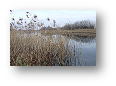 0402teq7-ce22-382x284.png