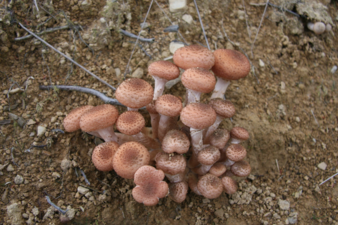 0402tg10-c221-338x225.png