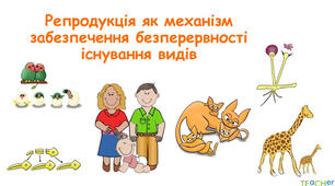 Репродукція як механізм забезпечення безперервності існування видів