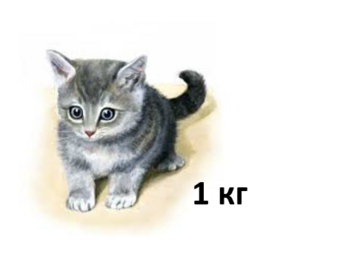 0402ti5b-8e95-346x254.png
