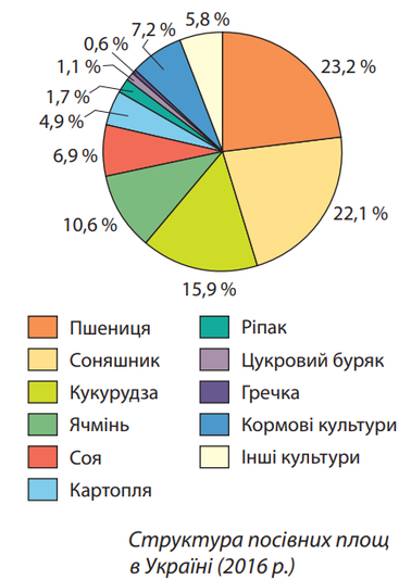 0402tkf9-412d-367x534.png