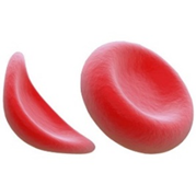 0402tlvb-ddb7-179x179.png
