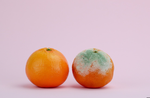 0402tn35-b4cb-577x377.png