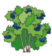 0402tnqy-6c6e-105x113.png