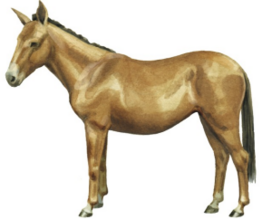 0402tonv-0793-261x219.png