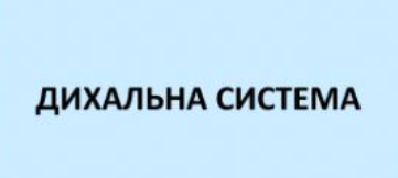 0402trn8-a86f-361x162.png