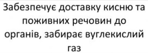 0402tro7-d772-481x172.png