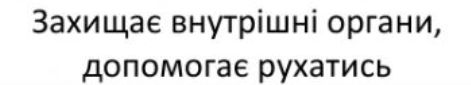 0402troe-dd27-471x85.png