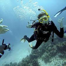 Scuba Diving (@scubadivingmag) • Instagram photos and videos
