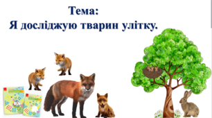 Я досліджую тварин улітку. І. О. Большакова, М. С. Пристінська. 2 клас. ІІ частина