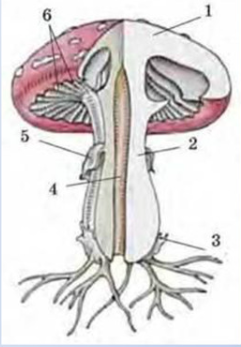 0402u3ie-6505-241x347.png