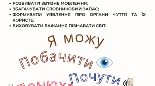 Дидактична гра "Органи чуття"