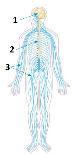 0402u8nq-0b1f-239x502.png
