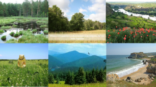 Ландшафти України