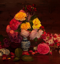 0402ucly-ce20-229x244.png