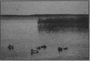 0402ucs3-b6b1-184x125.jpg