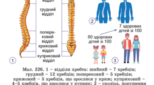 Здоровий спосіб життя. Правильна постава.