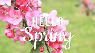 Діагностувальна робота №6 "Hello, spring!"