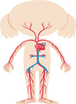 0402uds3-f4cd-150x206.png