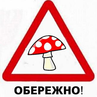 Увага: почастішали випадки отруєння грибами!