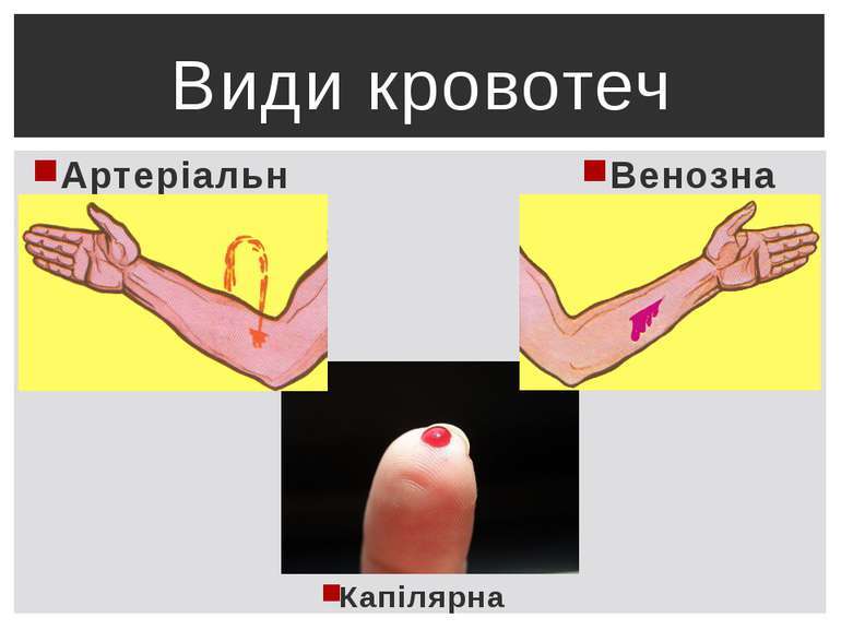 0402ug88-3860-770x577.jpg
