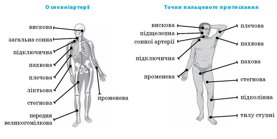 0402ug8o-2883-940x473.jpg